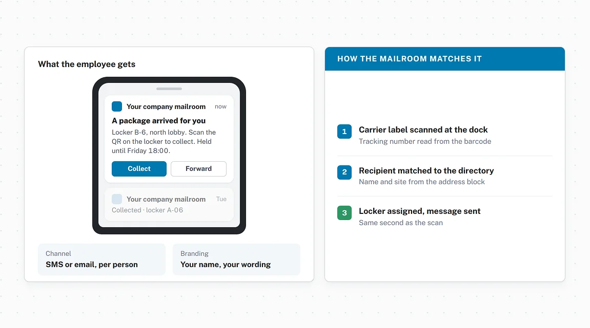 Notifications at mailroom scan-in